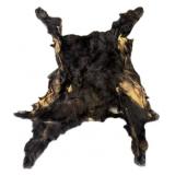 Black Bear Hyde,