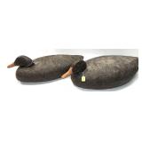 Pair of Cork Body Decoys