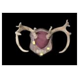 Whitetail rack on plaque, marked John Weise,