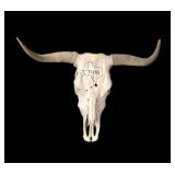 Steer skull