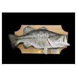 Fish mount on wooden base with plaque marked