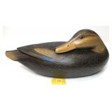 Clarence Fennimore Preening Black Duck, carved