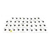 x38- Indian Head cents, mixed dates -x38 cents-