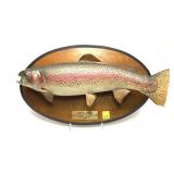 Trophy trout mount on wooden plaque