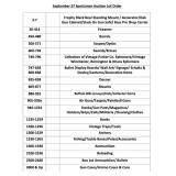 LOT ORDER: SEE PHOTO!