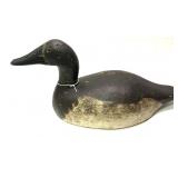 Early Seneca Lake Hen Canvasback wooden carved