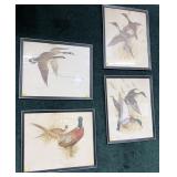 Lot, 4 framed Charles E. Murphy bird prints,