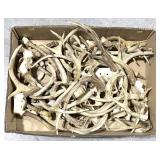 Large lot assorted whitetail racks and antlers