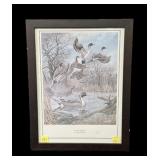 Pintail Majesty by Harold Roe framed print,