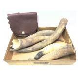 Lot: 5 powder horns and leather muzzle loading bag