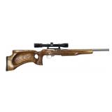 Ruger 10/22 Carbine Stainless .22 LR Semi-Auto