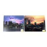 2010 Mint set