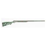 Harrington & Richardson Model 176- 10 Ga.