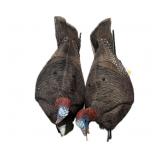 Pair of Turkey Decoys