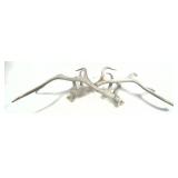 Pair of Elk Antlers 6x6
