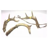 Lot: 3 Deer Antlers