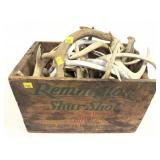 Lot: Assorted Antlers in Remington Wooden Ammo