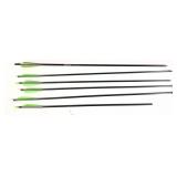 Lot: 6 Assorted Arrows with box
