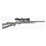 Ruger 10/22 Carbine .22 LR Semi-Auto Rifle,