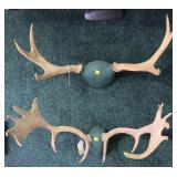 Lot: 2 sets of Antler racks