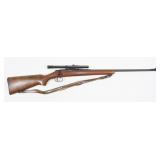 Hawthorne-Sentry .22 LR Bolt Action Single,