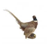 Trophy Pheasant Full Mount