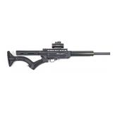 Custom Ruger 10/22- .22 LR Semi-Auto Rifle,