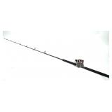 Penn Power Graph rod with Penn 309 Level Wind reel