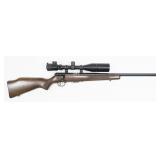 Savage Model 93R17- .17 HMR Bolt Action Rifle,
