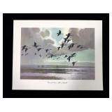 Peter Scott Field & Stream Portfolio