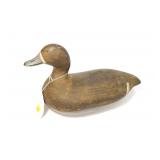 Seymour Smith bluebill hen