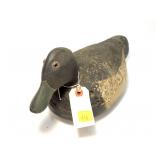 Long Island bluebill, Ca. 1940