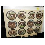 Forster-Hoppe Zeitz game target: elk, deer,