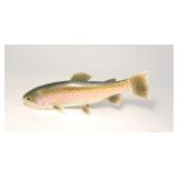 Rainbow trout by Bill VanDitto