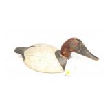 Vintage canvasback drake