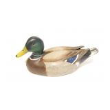 Mallard drake, small chip in tail