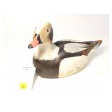 Blackbelly whistling duck signed John Kouchinsky
