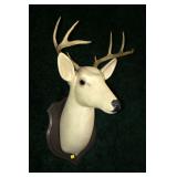 White deer mount carving by Robert John Brown