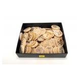 Lot, wooden nickel, 106 pcs.