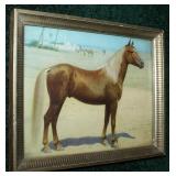 8" x 10" print of a horse in the Arabian desert