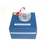 Steuben Peace on Earth ornament No. 9269, with bag