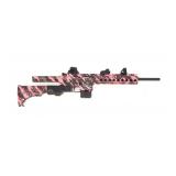 Smith & Wesson M & P 15-22 .22 LR semi-auto,