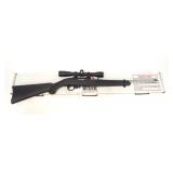 Ruger Model 10/22 stainless .22 LR semi-auto,