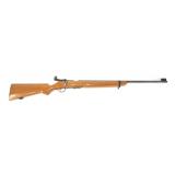 Savage Model 19 NRA .22 LR bolt action with
