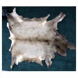 Large elk hide