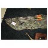 PSA left-handed compound bow with arrows and