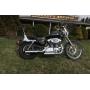 2005 Harley Davidson 1200 Sportster