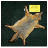 Red Fox rug