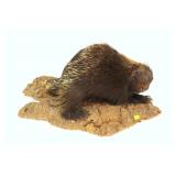 Porcupine Full Mount