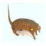 Armadillo mount